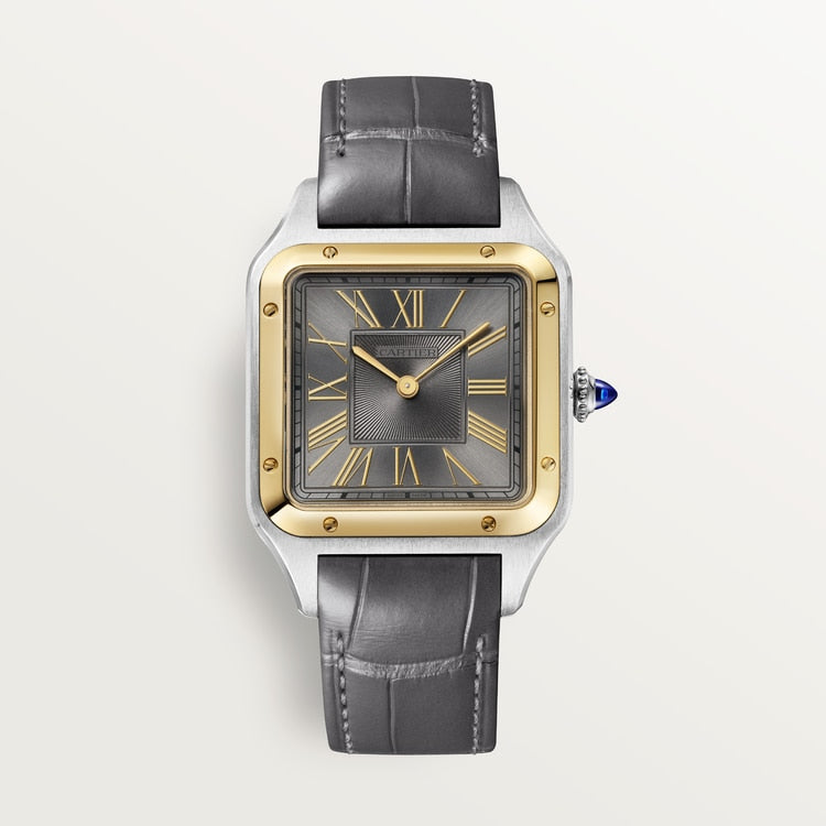 Santor 43.5 mm x 31.4 mm | Gold and steel & sunglasses in smooth and brushed platinum-finish metal