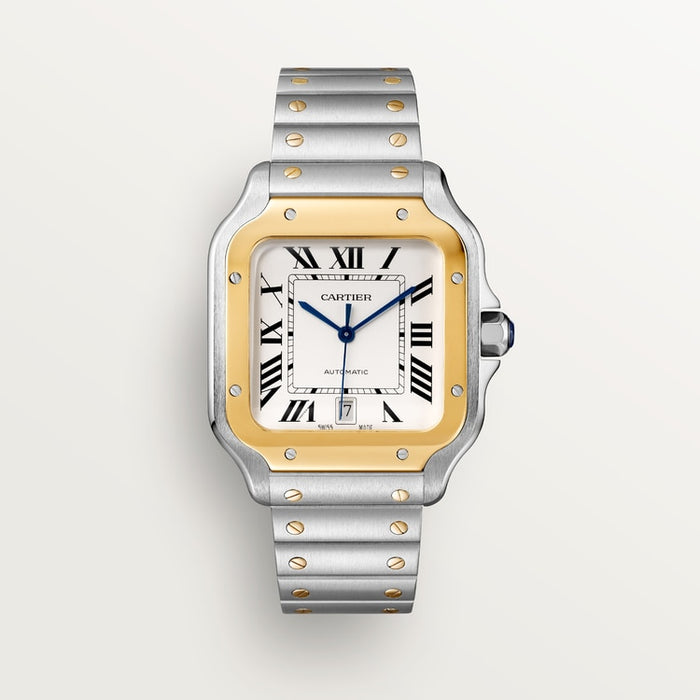 Santor Medium model | Gold and steel & Steel