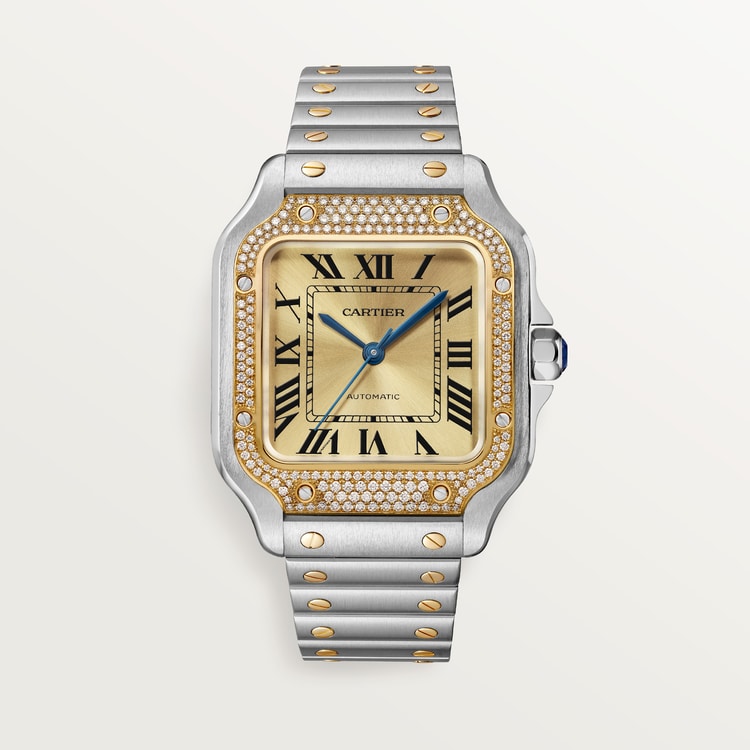 Santor 41.9 mm x 35.1 mm | Gold and steel & Steel
