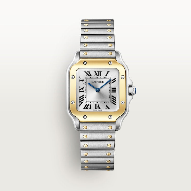 Santor Medium model | Gold and steel & Steel | Edition 02