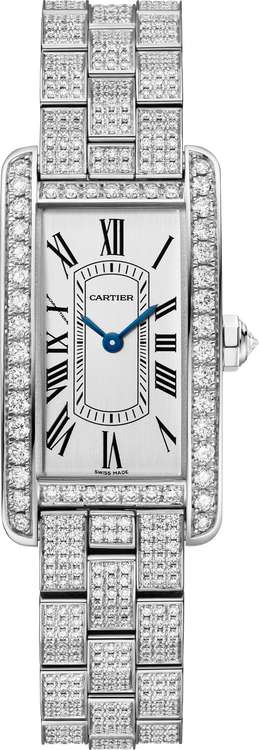 Tannor Manual movement | platinum & leather