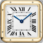 Pantara | Lg 18K Yellow Gold & Steel Watch | US & Lg 18K Yellow Gold Steel