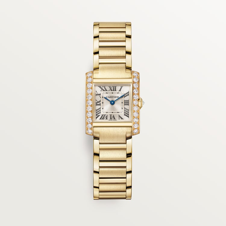 Tannor Medium model quartz movement | steel