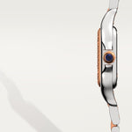 Pantara 30.3 mm x 22.0 mm | Steel
