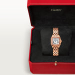 Pantara small model | Edition 36