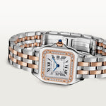 Pantara 30.3 mm x 22.0 mm | Steel