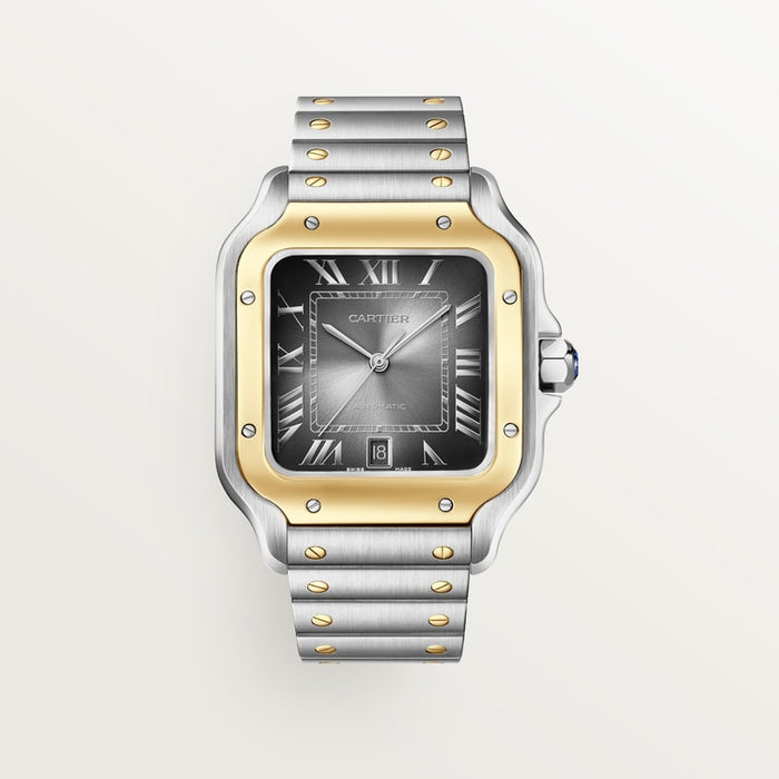 Santor 47.5 mm x 39.8 mm | Gold and steel & Steel