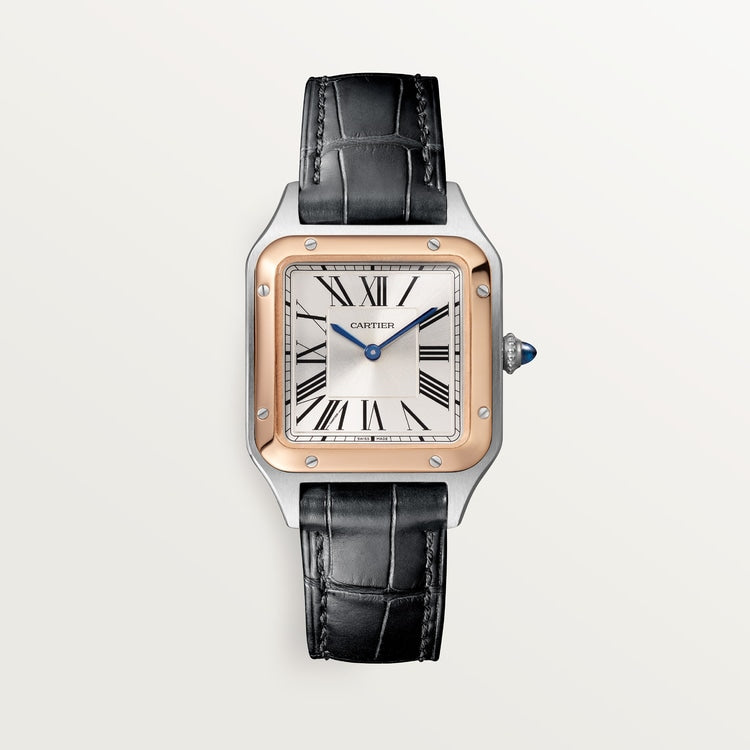 Santor Large model | Steel | Edition 05
