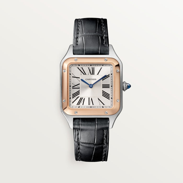 Santor Large model | Steel | Edition 05
