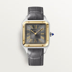 Santor 43.5 mm x 31.4 mm | Gold and steel & sunglasses in smooth and brushed platinum-finish metal