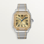 Santor 41.9 mm x 35.1 mm | Gold and steel & Steel
