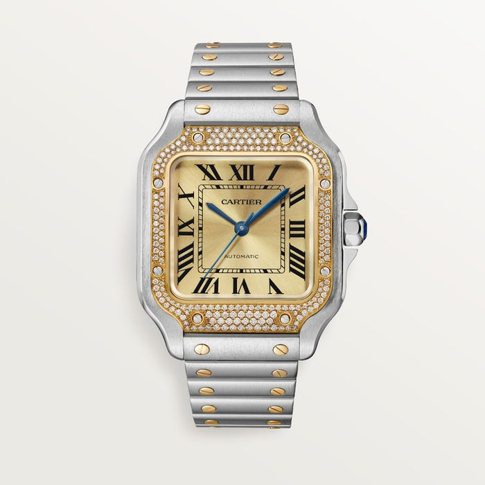 Santor 41.9 mm x 35.1 mm | Gold and steel & Steel