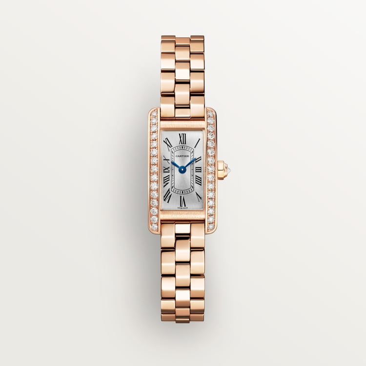 Tannor Large model automatic movement | platinum & leather | Edition 02