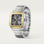 Santor 47.5 mm x 39.8 mm | Gold and steel & Steel