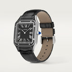 Santor 43.5 mm x 31.4 mm | Steel