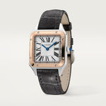 Santor Large model | Steel | Edition 05