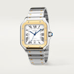 Santor Medium model | Gold and steel & Steel