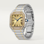 Santor 41.9 mm x 35.1 mm | Gold and steel & Steel