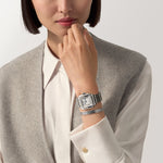Santor Large model | Steel