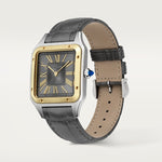 Santor 43.5 mm x 31.4 mm | Gold and steel & sunglasses in smooth and brushed platinum-finish metal