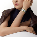 Santor Medium model | Gold and steel & Steel | Edition 02