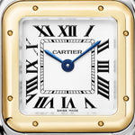 Pantara Medium model | Gold and steel & Steel