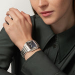 Santor Large model | Steel | Edition 03