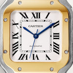 Santor Large model | Gold and steel & Steel
