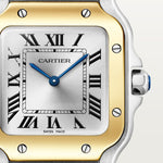 Santor Medium model | Gold and steel & Steel | Edition 02