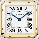 Pantara 36.5 mm x 26.7 mm | Gold and steel & Steel