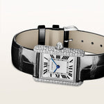 Tannor Large model automatic movement | platinum & leather | Edition 03
