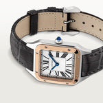Santor Large model | Steel | Edition 05