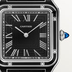 Santor 43.5 mm x 31.4 mm | Steel