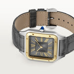 Santor 43.5 mm x 31.4 mm | Gold and steel & sunglasses in smooth and brushed platinum-finish metal