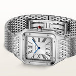 Santor 43.5 mm x 31.4 mm | Platinum & PLATINUM