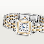 Pantara Medium model | Gold and steel & Steel