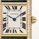 Tannor Large model automatic mechanical movement | steel