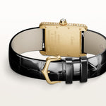 Tannor Large model automatic mechanical movement | steel