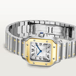 Santor Medium model | Gold and steel & Steel | Edition 02