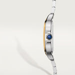 Santor Large model | Gold and steel & Steel