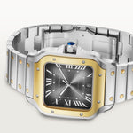 Santor 47.5 mm x 39.8 mm | Gold and steel & Steel