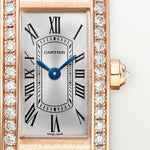 Tannor Large model automatic movement | platinum & leather | Edition 02