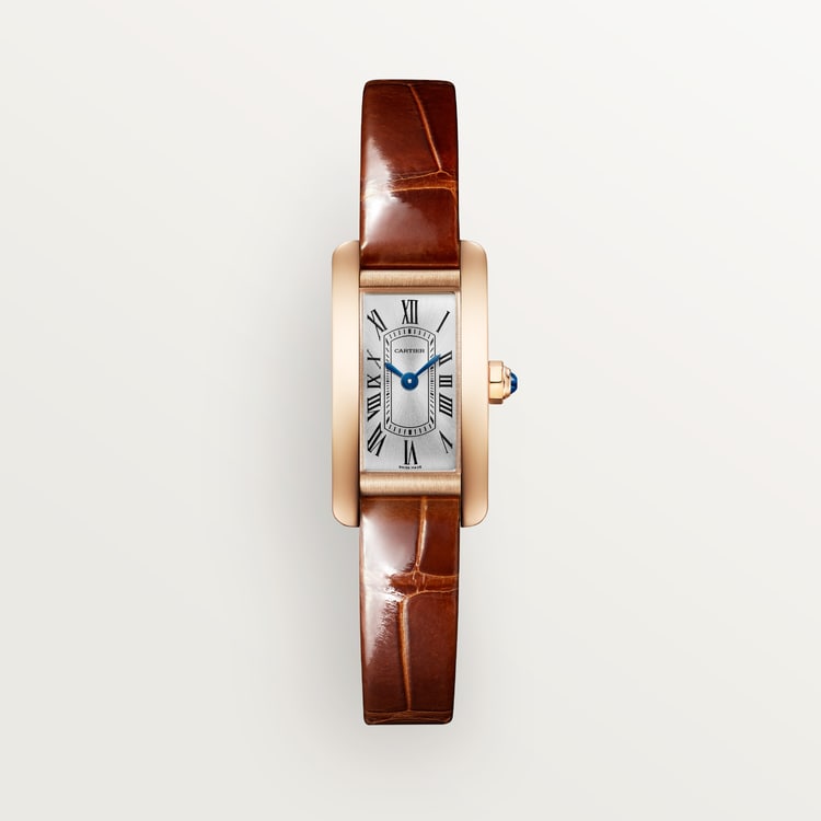 Tannor Large model automatic movement | platinum & leather
