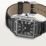 Santor 43.5 mm x 31.4 mm | Steel