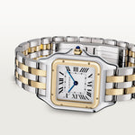 Pantara 36.5 mm x 26.7 mm | Gold and steel & Steel