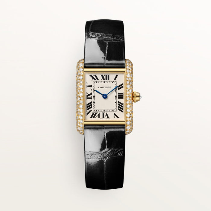 Tannor Large model automatic mechanical movement | steel