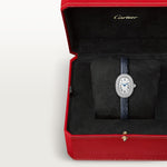 Bainor Small model | White gold & Gold | Edition 02