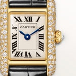 Tannor Mini model quartz movement | yellow gold & leather | Edition 02