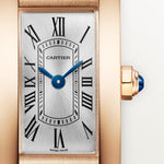 Tannor Large model automatic movement | platinum & leather