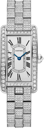 Tannor Manual movement | platinum & leather